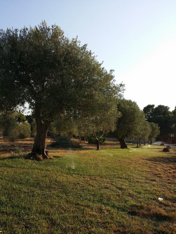 Agriturismo "Terra D'Ulivi" Villa Porto Cesareo Oda fotoğraf