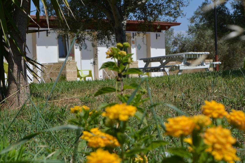 Agriturismo "Terra D'Ulivi" Villa Porto Cesareo Dış mekan fotoğraf